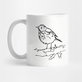 Hermit Thrush Drawing Forest Bird Mug